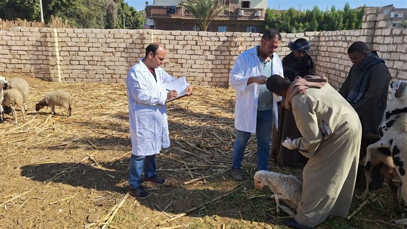 مديرية الطب البيطري