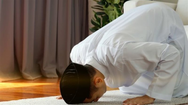 عدد ركعات النوافل