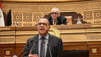 المالية: تقليل زمن الإفراج الجمركي لـ 48 ساعة فقط ونستهدف وصولها ساعتين