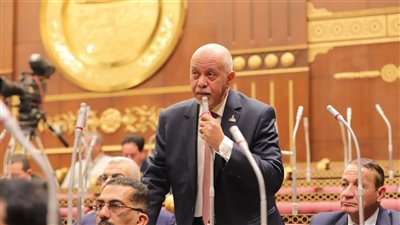 حازم الجندي يدعو لفك التشابكات للحفاظ على أموال المعاشات