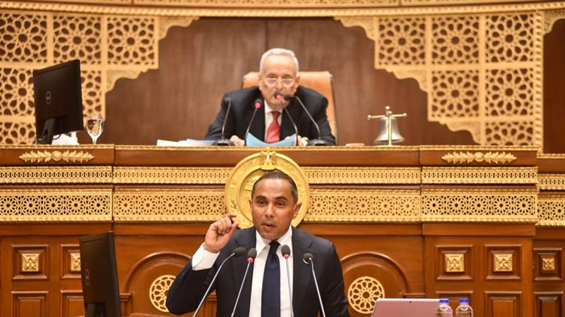النائب محمد أبو غالي