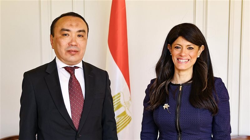 وزيرة التخطيط والسفير