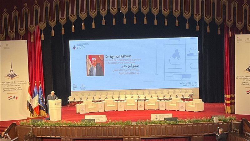 الدكتور أيمن عاشور