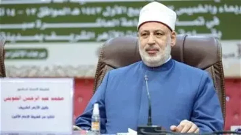 الأستاذ الدكتور محمد