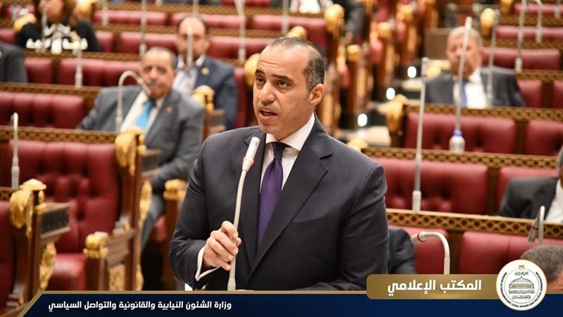 المستشار محمود فوزي