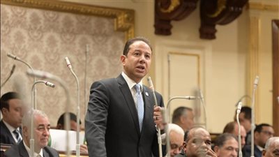 النائب حسن عمار: مشروع رأس الحكمة حقق فارق وتوازن حقيقي في دعم الاقتصاد المصري