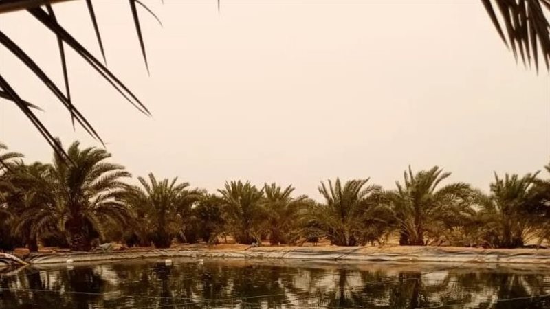 صورة من موقع الحادث