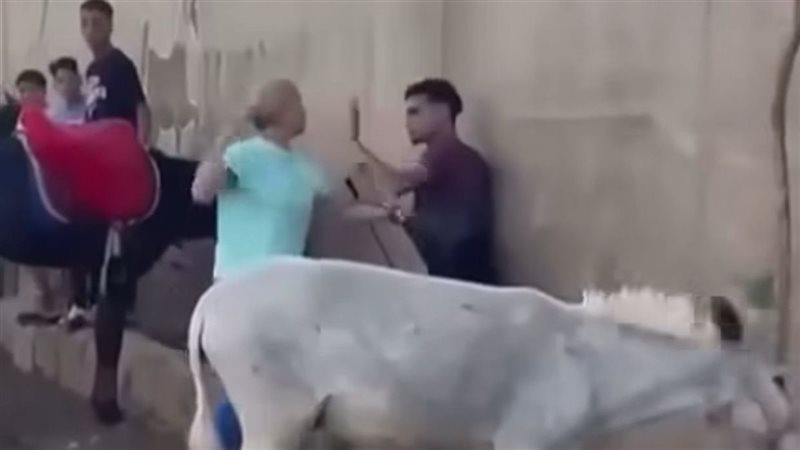 سائحة تتعدى بالضرب