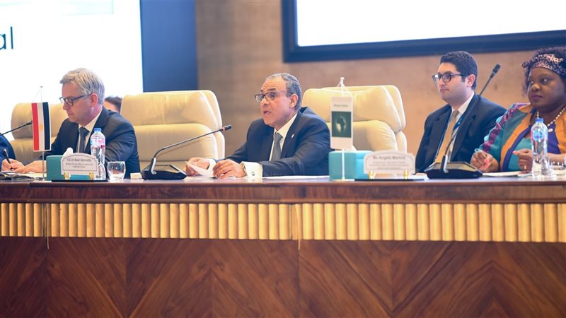 بدر عبد العاطي وزير