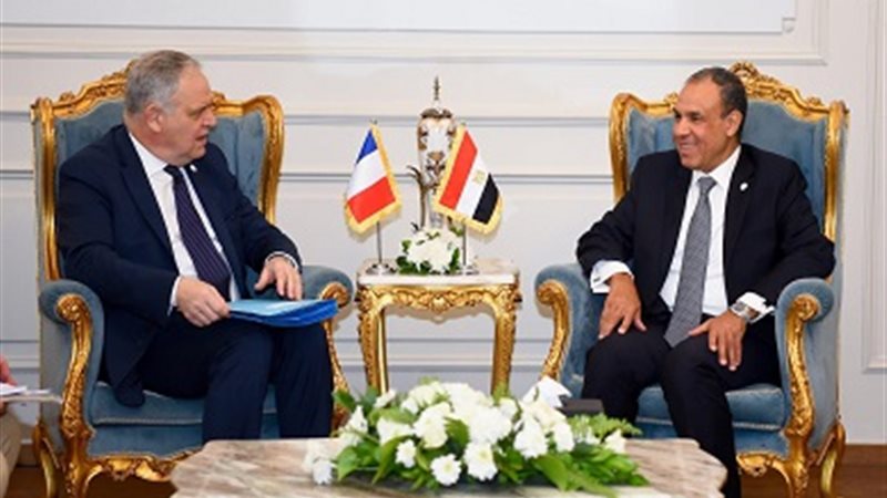 وزير الخارجية الدكتور