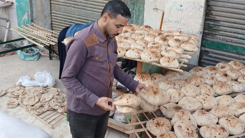 تموين المنيا