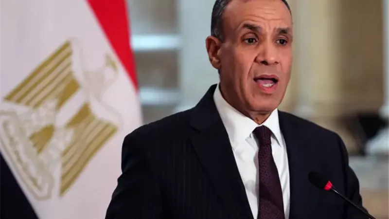 وزير الخارجية المصرى