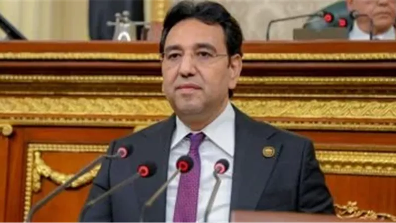 النائب أيمن محسب