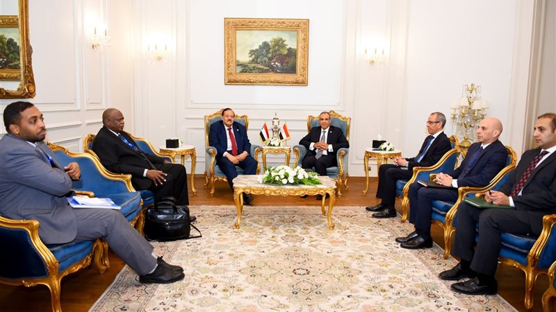 وزيرا خارجية مصر