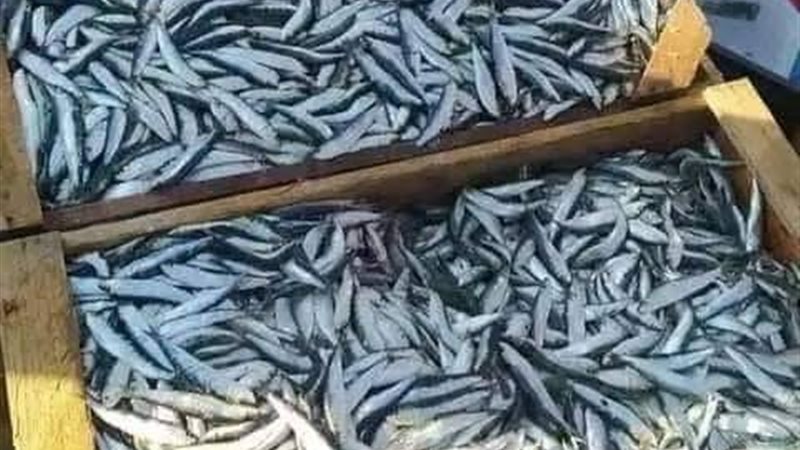 محافظ دمياط