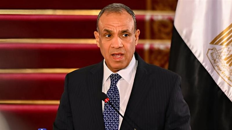 وزير الخارجية المصري