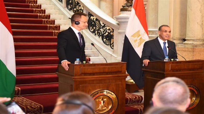وزير الخارجية المصري