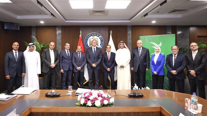 شراكة مصرية إمارتية