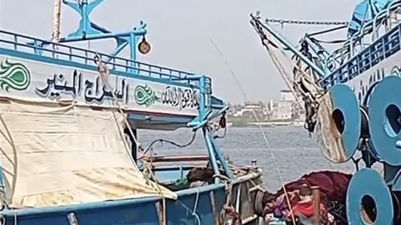 مراكب الشانشولا