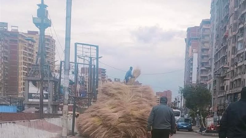 صورة الحادث