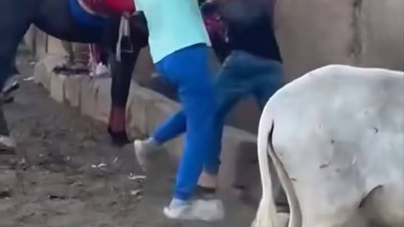 مشهد من الواقعة