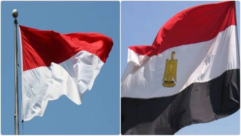 مصر وإندونيسيا