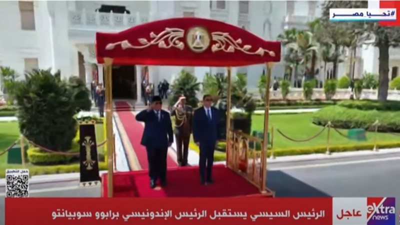 الرئيس السيسي ونظيرة
