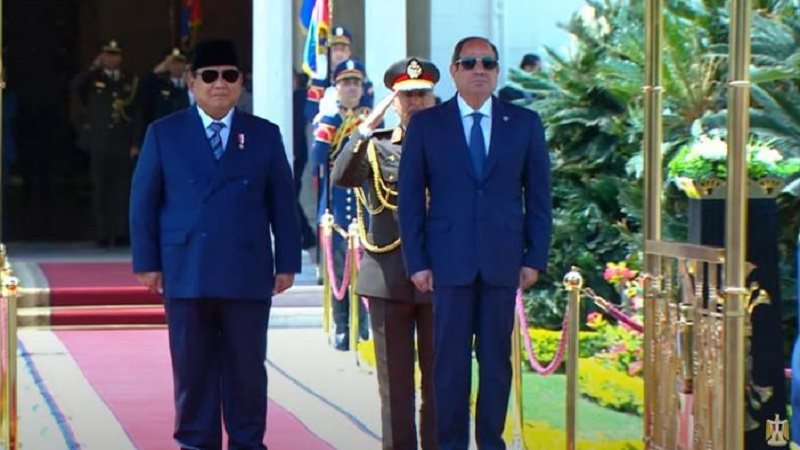 الرئيس السيسي ونظيرة