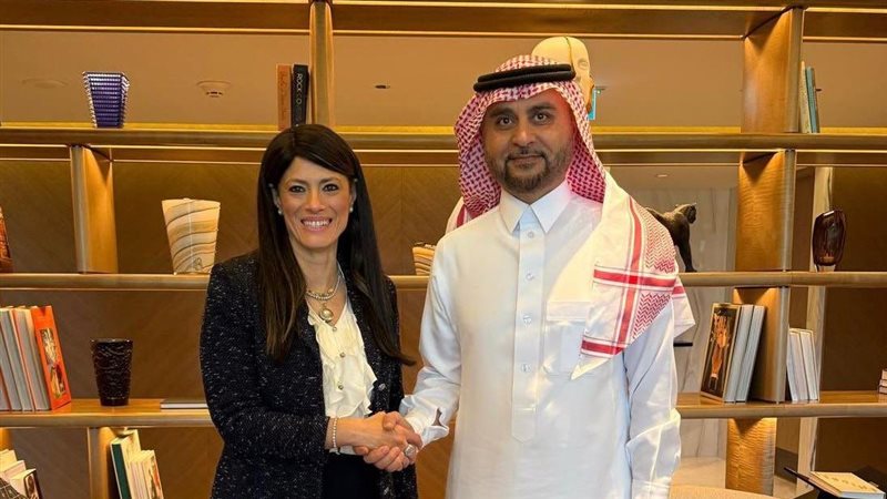 المشاط ومدير صندوق