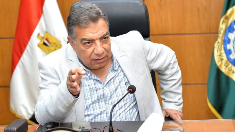 محافظ الدقهلية