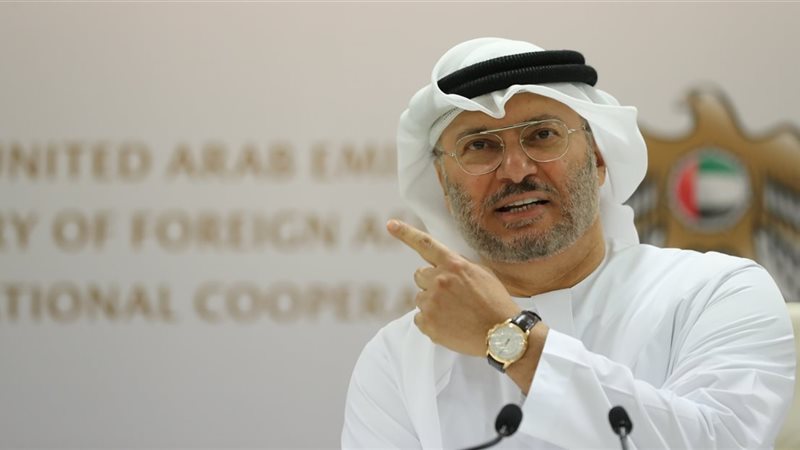 الدكتور أنور قرقاش،