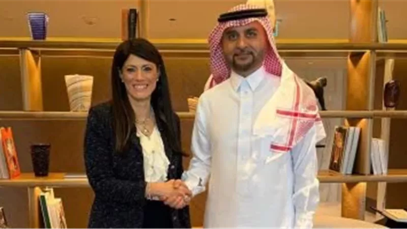 وزير التعاون الدولي