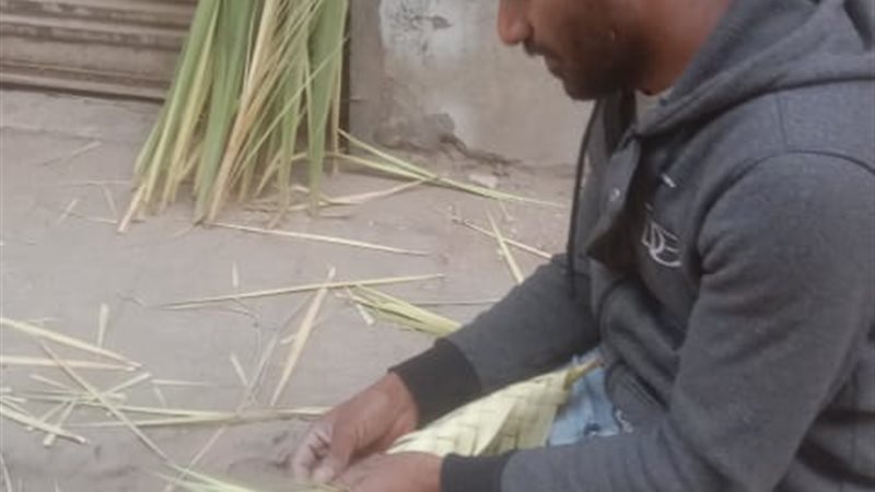 بائع الزعف في السويس