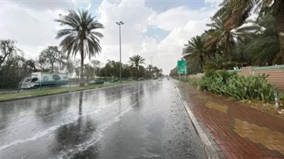 طقس السعودية.. هطول أمطار رعدية مصحوبة برياح نشطة مثيرة للأتربة