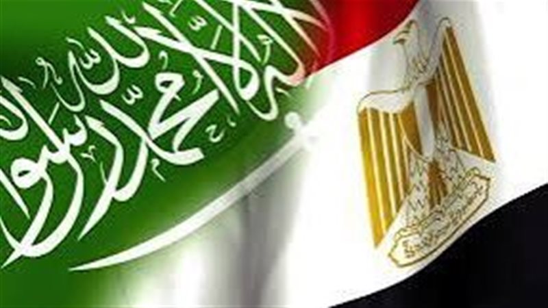11.3 مليار دولار