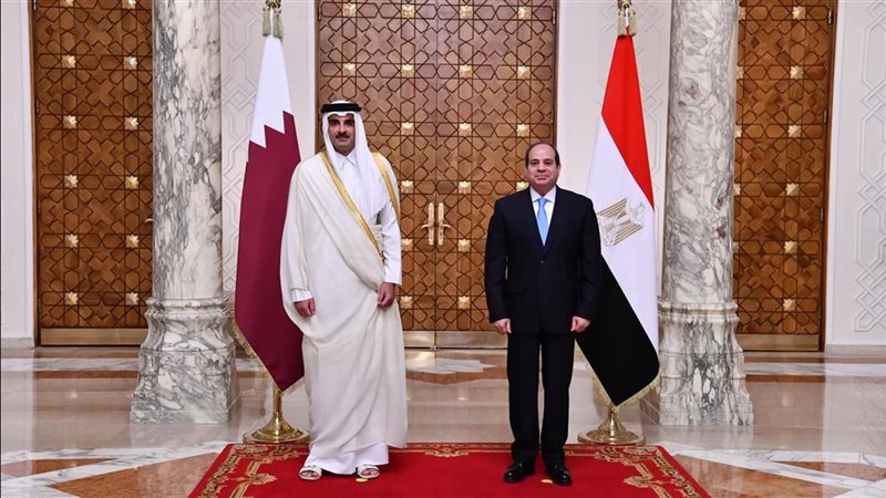 الرئيس السيسي ونظيرة
