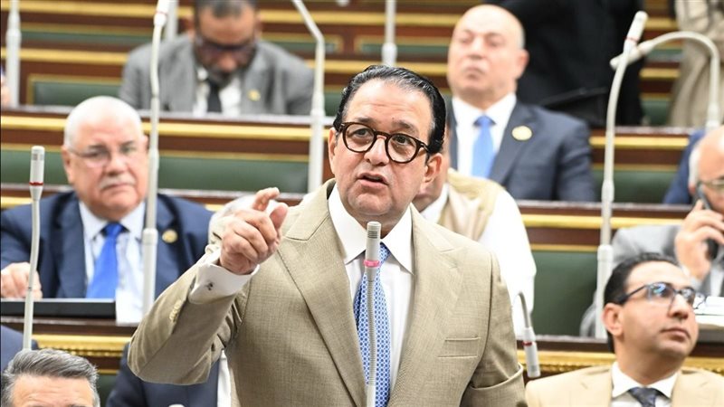 النائب علاء عابد