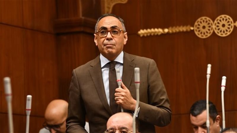 النائب هاني سرى الدين