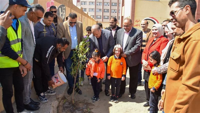 زراعة شتلات بعدد