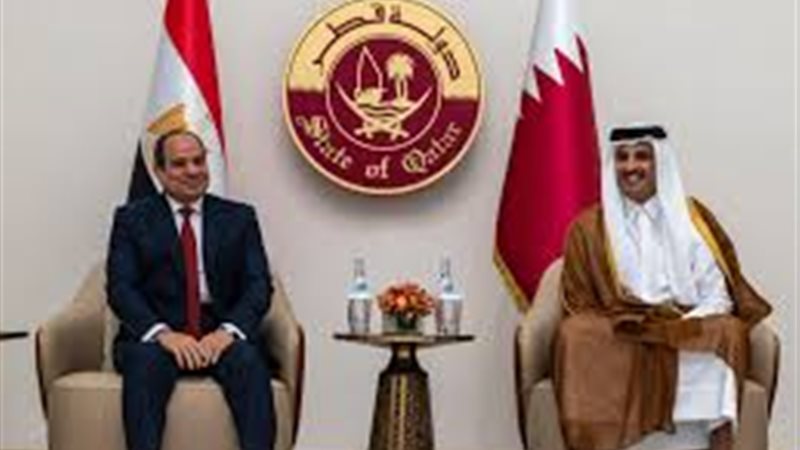 الرئيس السيسي وامير