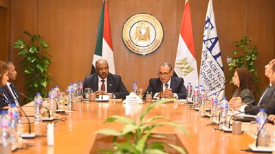 مصر والسودان يكرمان الفريق الطبي المصري لدوره في دعم القطاع الصحي
