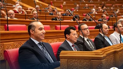المستشار محمود فوزي: قانون المهن الرياضية لا يعتدي على حق النقابة في شيء