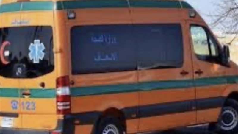 ارشيفية