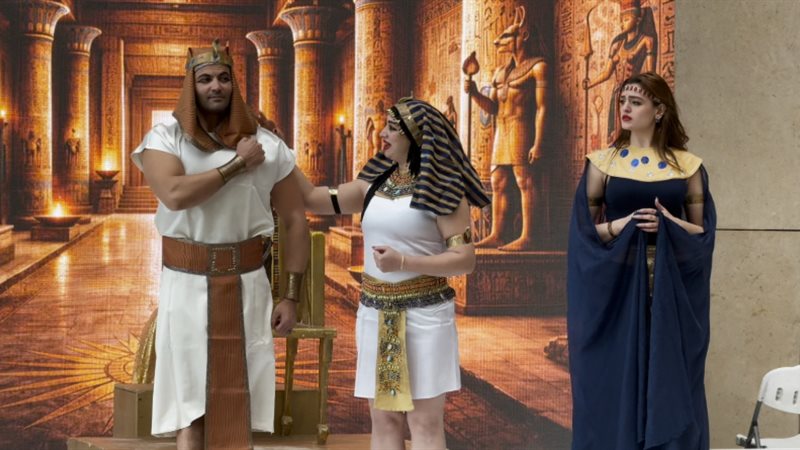 جانب من العروض 