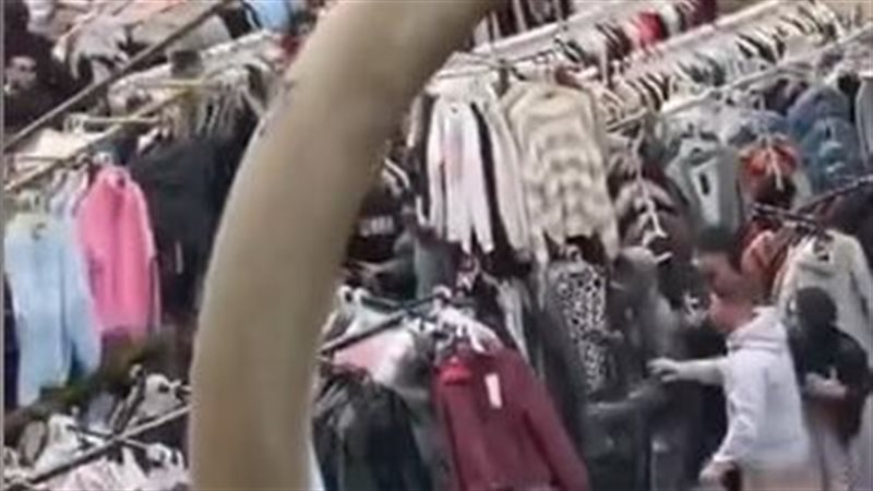 المشاجرة