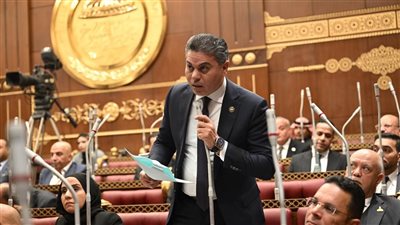 عضو خارجية الشيوخ: زيارة أردوغان للقاهرة تؤسس لشراكة استراتيجية 