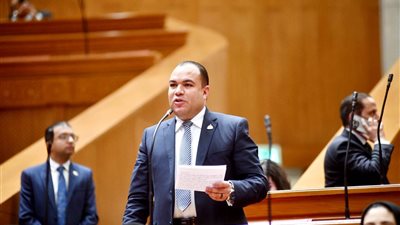  النائب أحمد عصام : موافقتنا على منحة الاتحاد الأوروبي مشروطة بالالتزام الصارم