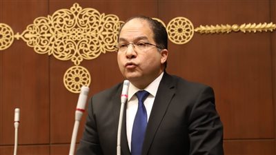 برلماني: القمة المصرية التركية تدشن مرحلة جديدة من الشراكة الاستراتيجية