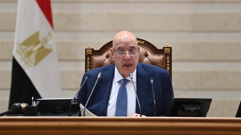 المستشار هشام 