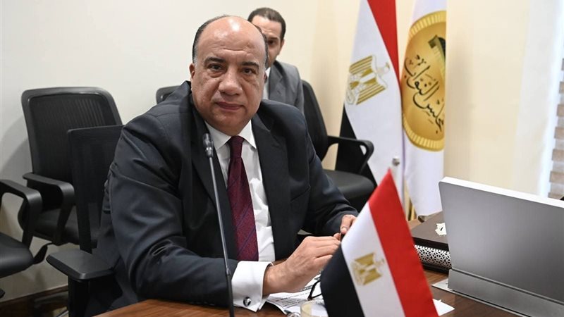محمد مصيلحى 